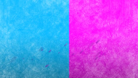 Animation-Von-Violetten-Lichtspuren-über-Rosa-Und-Blauem-Hintergrund