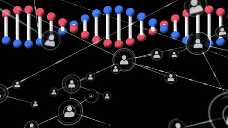 Animation-Eines-Netzwerks-Von-Verbindungen-Mit-Symbolen-über-Einem-DNA-Strang,-Der-Sich-Auf-Schwarzem-Hintergrund-Dreht