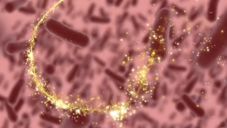 Animation-of-shooting-star-spinning-and-macro-bacteria-or-covid-19-cells