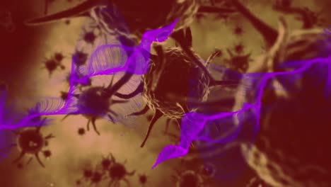 Animation-Von-Violetten-Lichtspuren-Und-Makrobraunen-Covid-19-Zellen