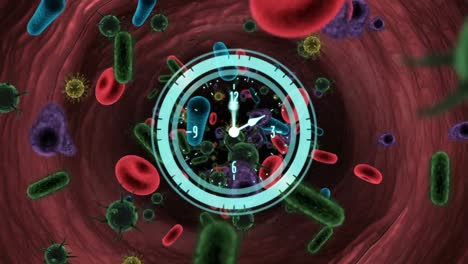 Animation-of-clock-and-circular-scanner-rotating-over-covid-19-cells-and-blood-cells