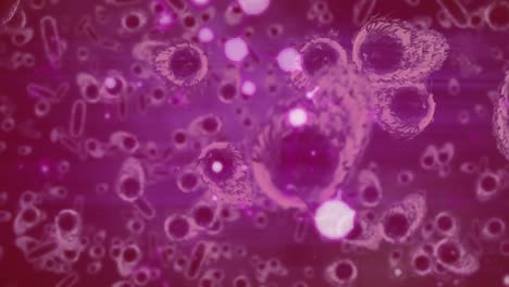 Animation-of-macro-covid-19-cells-floating-on-pink-background