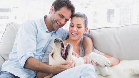 Animation-of-cute-labrador-pet-dog-with-happy-caucasian-couple