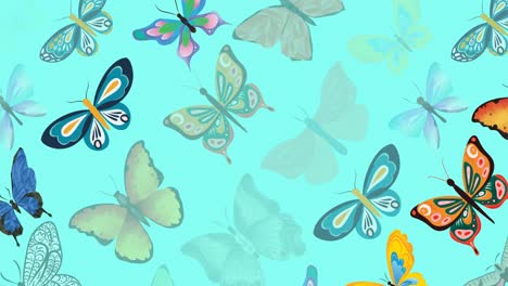 Animation-of-rows-of-colourful-butterflies,-on-blue-background