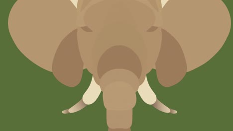 Animation-of-head-of-elephant-with-tusks,-on-green-background