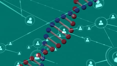 Animation-of-dna-strand-and-network-of-connections-on-green-background