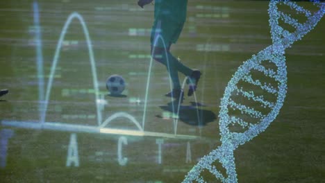 Animation-of-dna-strand-spinning-and-data-processing-over-football-players