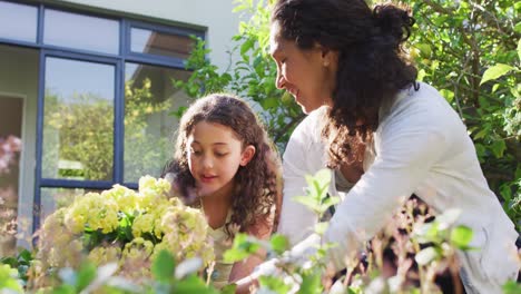 Mixed-race-mother-and-daughter-gardening-in-sunny-garden,taking-care-with-plants