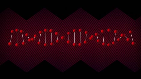 Animation-Eines-Roten-DNA-Strangs,-Der-Sich-Mit-Roten-Linien-Dreht