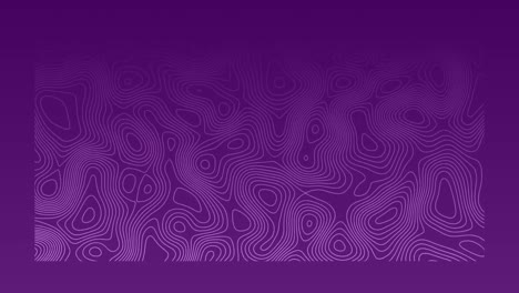 Animation-of-organically-moving-purple-topographical-chart,-on-dark-purple-background
