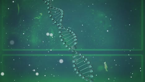 Animation-of-green-dna-strand-spinning-with-glowing-spots