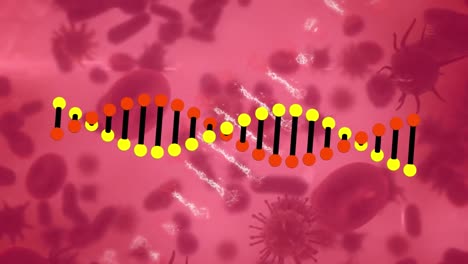 Animation-Eines-Rotierenden-3D-DNA-Strangs,-Der-Sich-über-Zellen-Dreht,-Auf-Kreis-Und-Rosa-Hintergrund