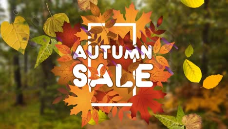 Animation-of-text-autumn-sale,-with-falling-leaves-and-purple-trails-over-autumn-forest-background