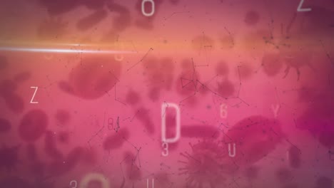 Animation-of-network-of-connections-over-moving-letters-and-cells-on-pink