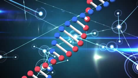Animation-Des-DNA-Strangs-über-Ein-Netzwerk-Von-Verbindungen-Mit-Statistiken
