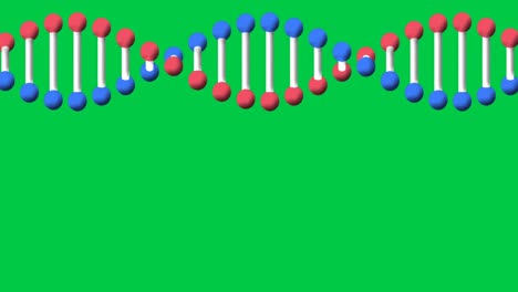 Animation-Des-Sich-Drehenden-DNA-Strangs-Mit-Kopierraum-über-Grünem-Bildschirm