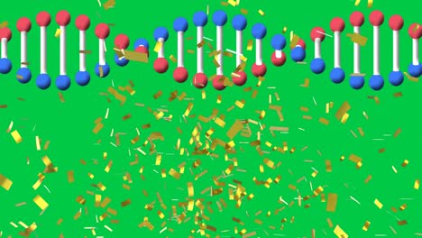 Animation-Von-Konfetti,-Die-über-Einen-DNA-Strang-Fällt,-Der-Sich-Auf-Grünem-Hintergrund-Dreht