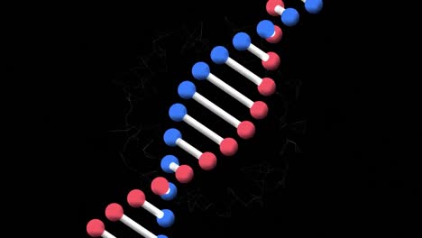 Animation-of-spinning-dna-strand-and-moving-network-of-connections-over-black-background