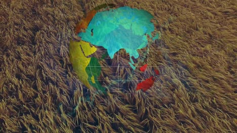 Animation-Der-Globus--Und-Finanzdatenverarbeitung-über-Dem-Agrarfeld