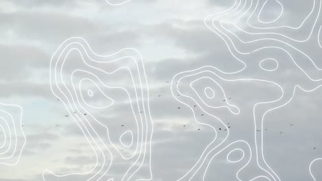 Animation-of-networks-of-white-lines-over-birds-and-sky