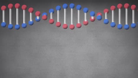 Animation-of-dna-strand-spinning-on-grey-background