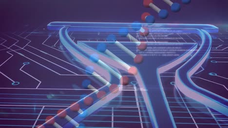 Animation-Eines-DNA-Strangs,-Der-Sich-über-Einer-Sanduhr-Dreht,-Und-Datenverarbeitung