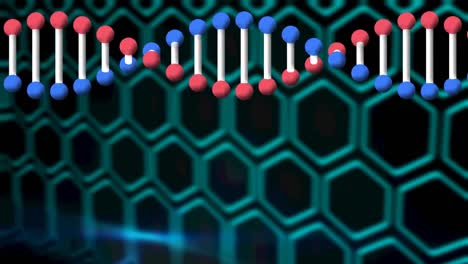 Animation-of-rotating-dna-strand-over-navy-background