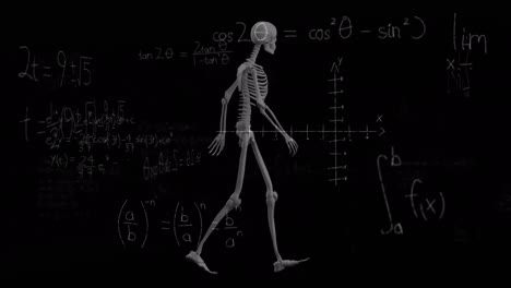 Animation-Mathematischer-Gleichungen-über-Dem-Skelett