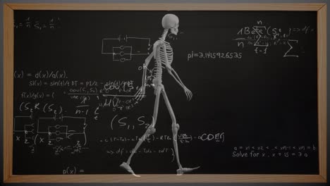 Animation-of-mathematical-equations-over-skeleton