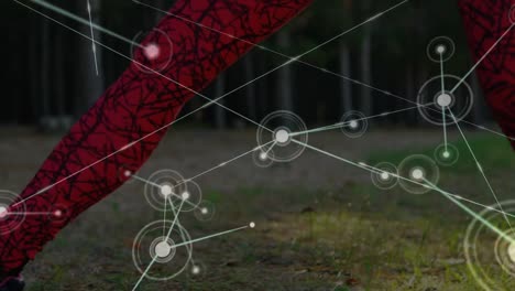 Animation-Eines-Netzwerks-Von-Verbindungen-über-Eine-Frau,-Die-Im-Wald-Dehnübungen-Macht