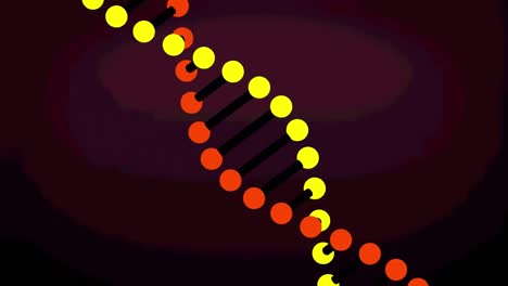 Animación-De-Una-Cadena-De-ADN-Modelo-3D-Giratoria,-Sobre-Fondo-Rojo-Oscuro.