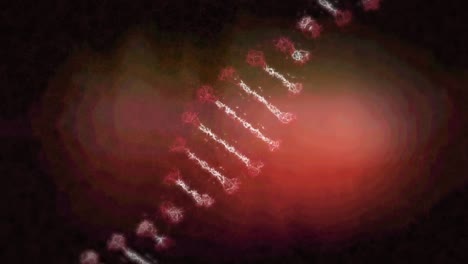 Animation-Eines-Rotierenden-Körnigen-3D-Modell-DNA-Strangs-über-Einer-Roten-Wolke-Auf-Schwarzem-Hintergrund