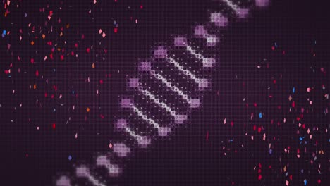 Animation-Eines-Digitalen-DNA-Strangs,-Der-Sich-über-Buntes-Konfetti-Auf-Schwarzem-Hintergrund-Bewegt