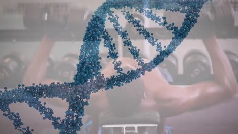 Animation-of-dna-strand-spinning-and-data-processing-over-strong-man-exercising