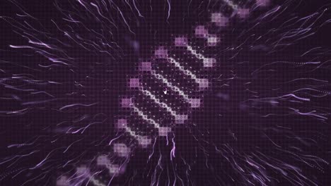 Animation-Eines-Digitalen-DNA-Strangs,-Der-Sich-über-Ein-Rosafarbenes-Feuerwerk-Bewegt,-Das-Auf-Schwarzem-Hintergrund-Explodiert