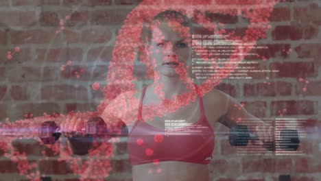 Medical-data-processing-against-caucasian-woman-fit-woman-working-out-with-dumbbells-at-the-gym