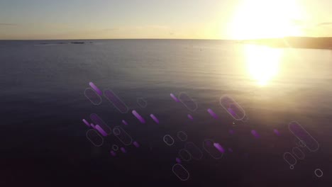 Animation-Violetter-Lichtfackeln,-Die-Sich-Bei-Sonnenuntergang-über-Dem-Meer-Bewegen