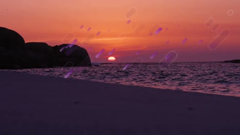 Animation-of-purple-light-flares-moving-beach-and-sea-at-sunset