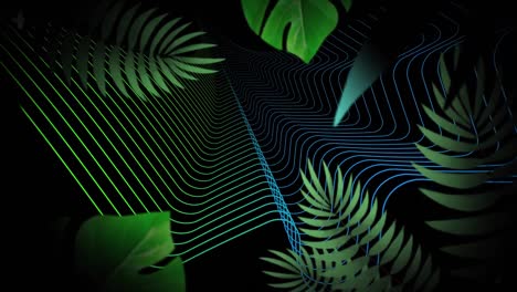Animation-of-green-and-blue-curved-lines,-with-green-leaves-moving-on-black-background