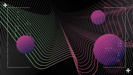 Animation-of-floating-curved-multi-coloured-lines-and-purple-spheres-on-black-background