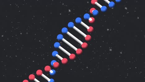 Animation-of-rotating-3d-model-dna-strand-and-snow-falling-on-black-background
