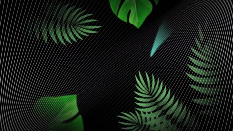 Animation-of-drips-and-white-curved-lines,-with-green-leaves-moving-on-black-background