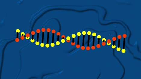 Animación-De-Una-Cadena-De-ADN-Girando-Sobre-Un-Fondo-Líquido-Azul.