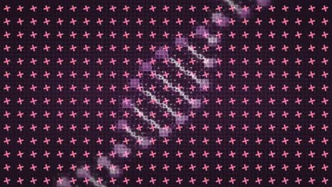 Animation-Eines-Rotierenden-Digitalen-DNA-Strangs-über-Einem-Gitter-Aus-Rosa-Kreuzen,-Die-Sich-Auf-Schwarzem-Hintergrund-Drehen