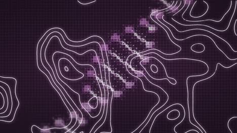 Animation-of-white-contour-lines-moving-over-rotating-digital-dna-strand,-on-pink-grid-over-black