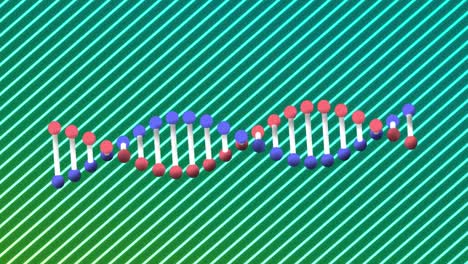Animation-Eines-DNA-Strangs,-Der-Sich-über-Leuchtende-Neonstreifen-Dreht