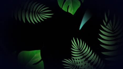 Animation-Von-Tropfen-Und-Grünen-Blättern-Auf-Schwarzem-Hintergrund