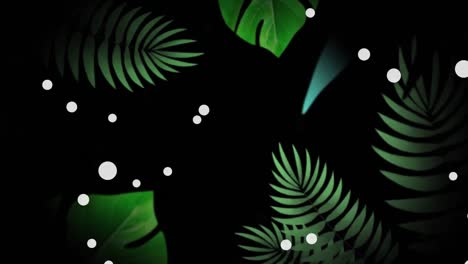 Animation-Von-Weißen-Lichtflecken,-Tropfen-Und-Grünen-Blättern-Auf-Schwarzem-Hintergrund