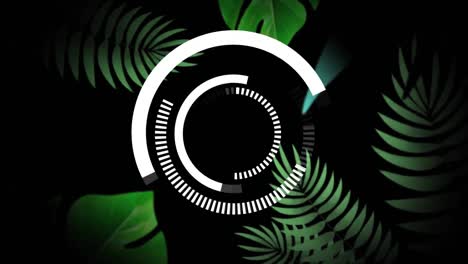 Animation-of-white-circular-scanner-rotating-over-drips-and-green-leaves-on-black-background