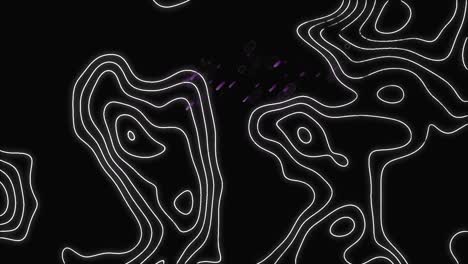 Animation-of-white-map-lines-and-purple-light-trails-on-black-background